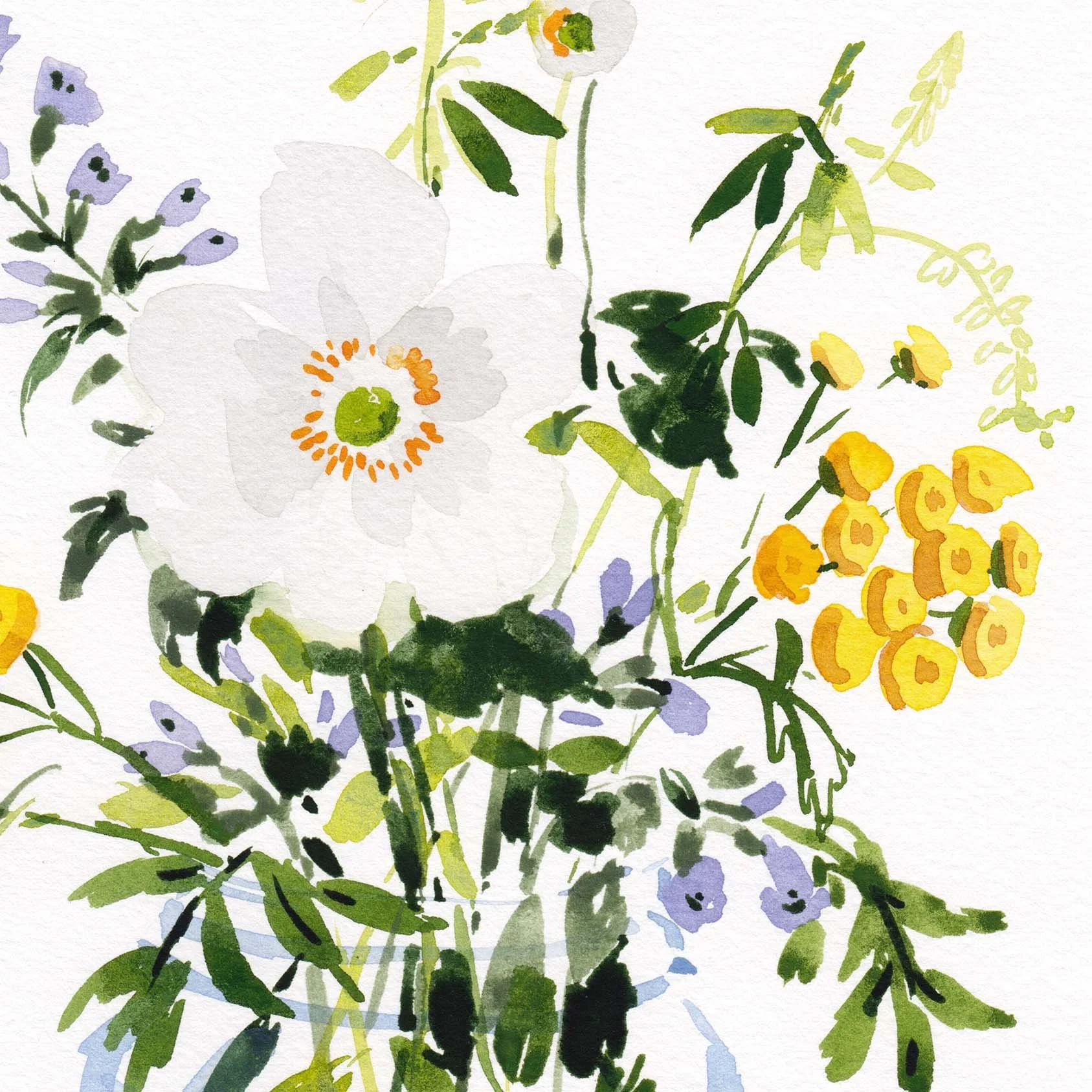 AnemonesTansyAndCatmint_Crop.jpg