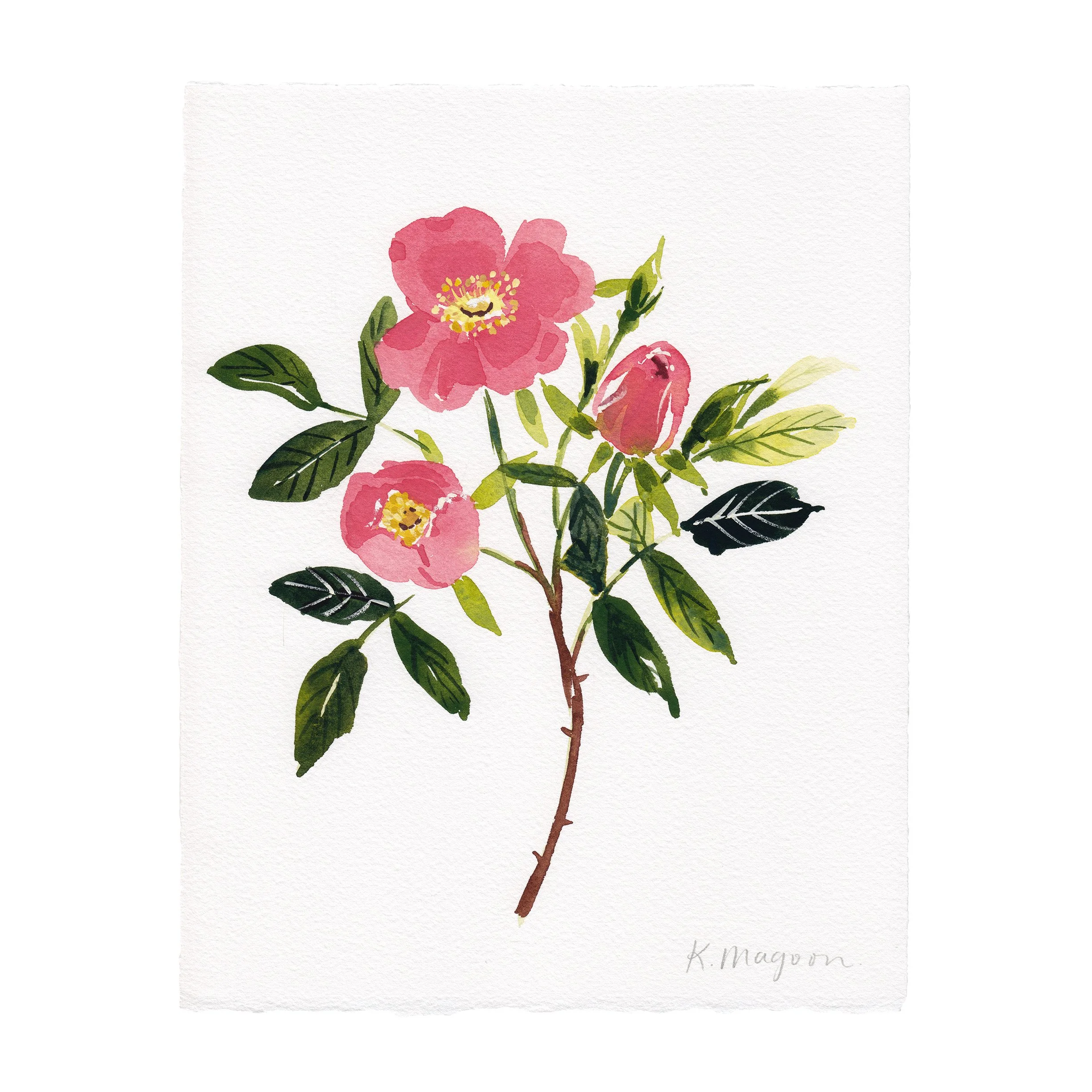 WildRoses5.jpg