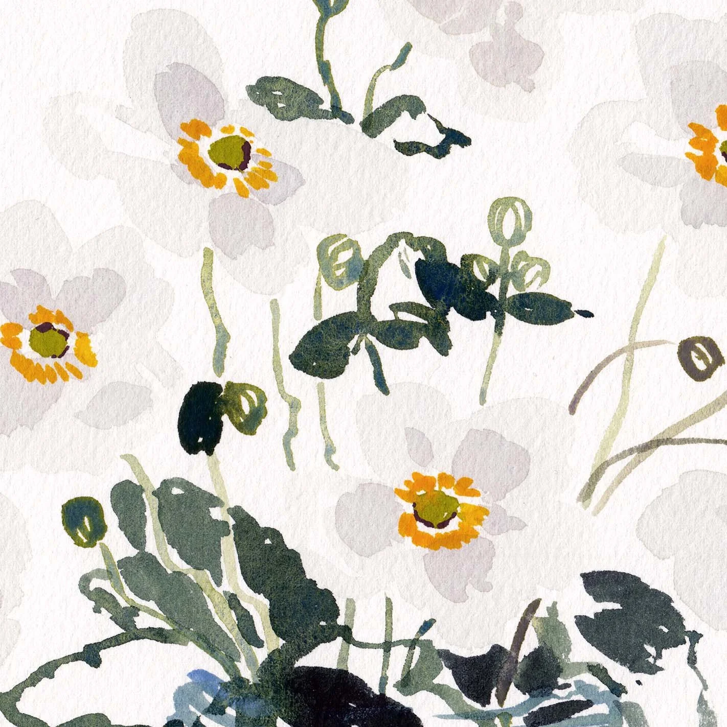 JapaneseAnemones2_Crop.jpg