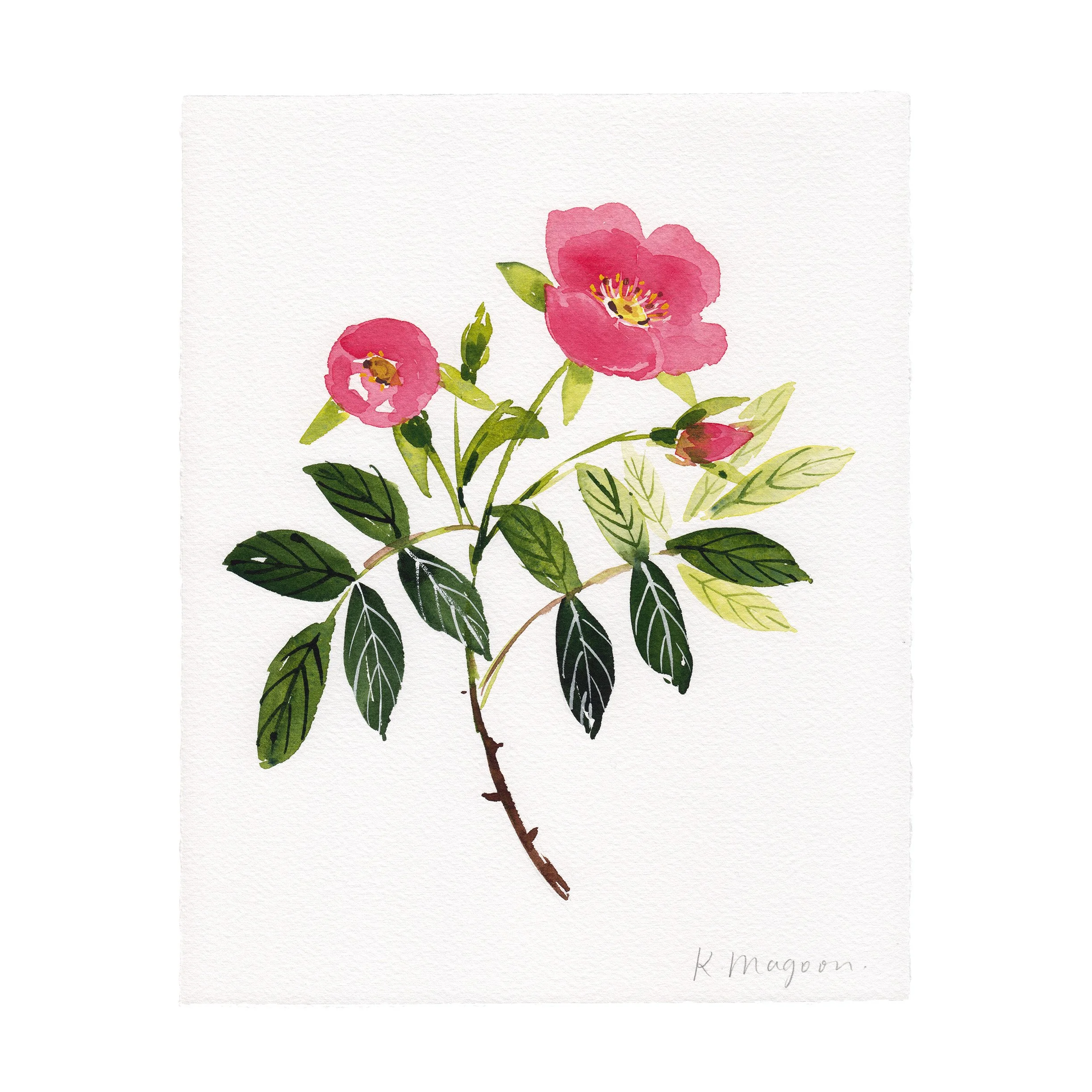WildRoses3.jpg