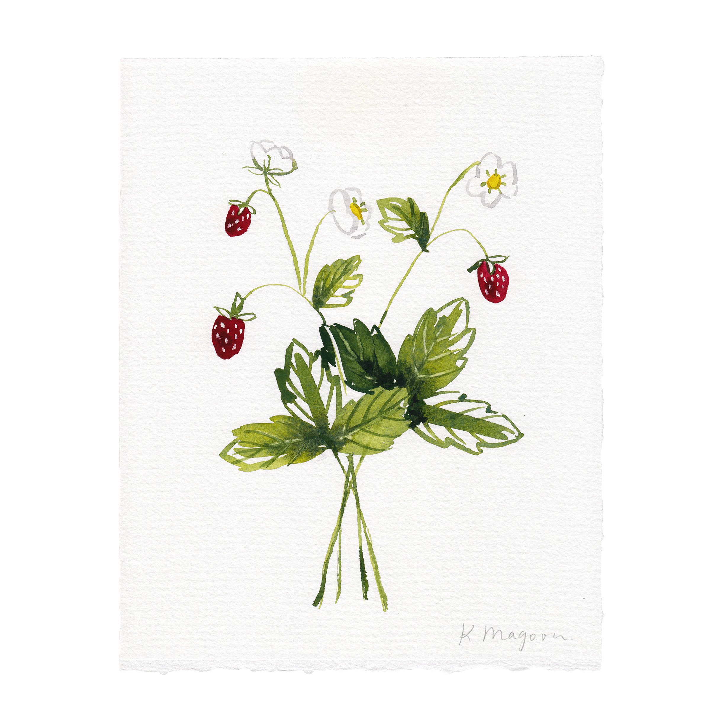SpringBerries1.jpg