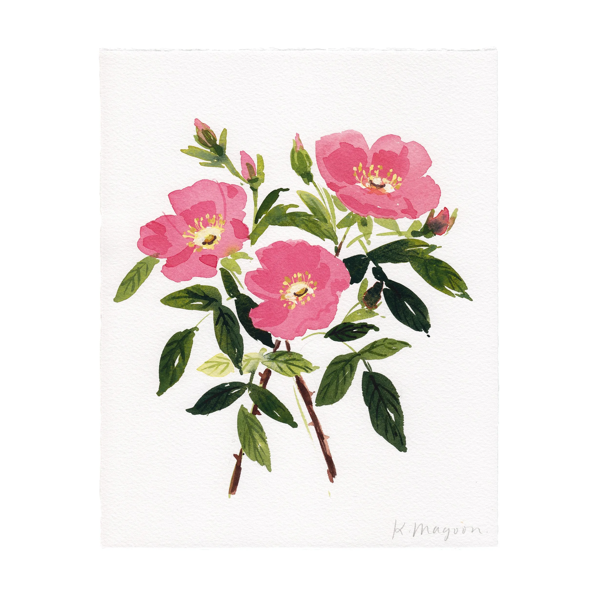 WildRoses4.jpg