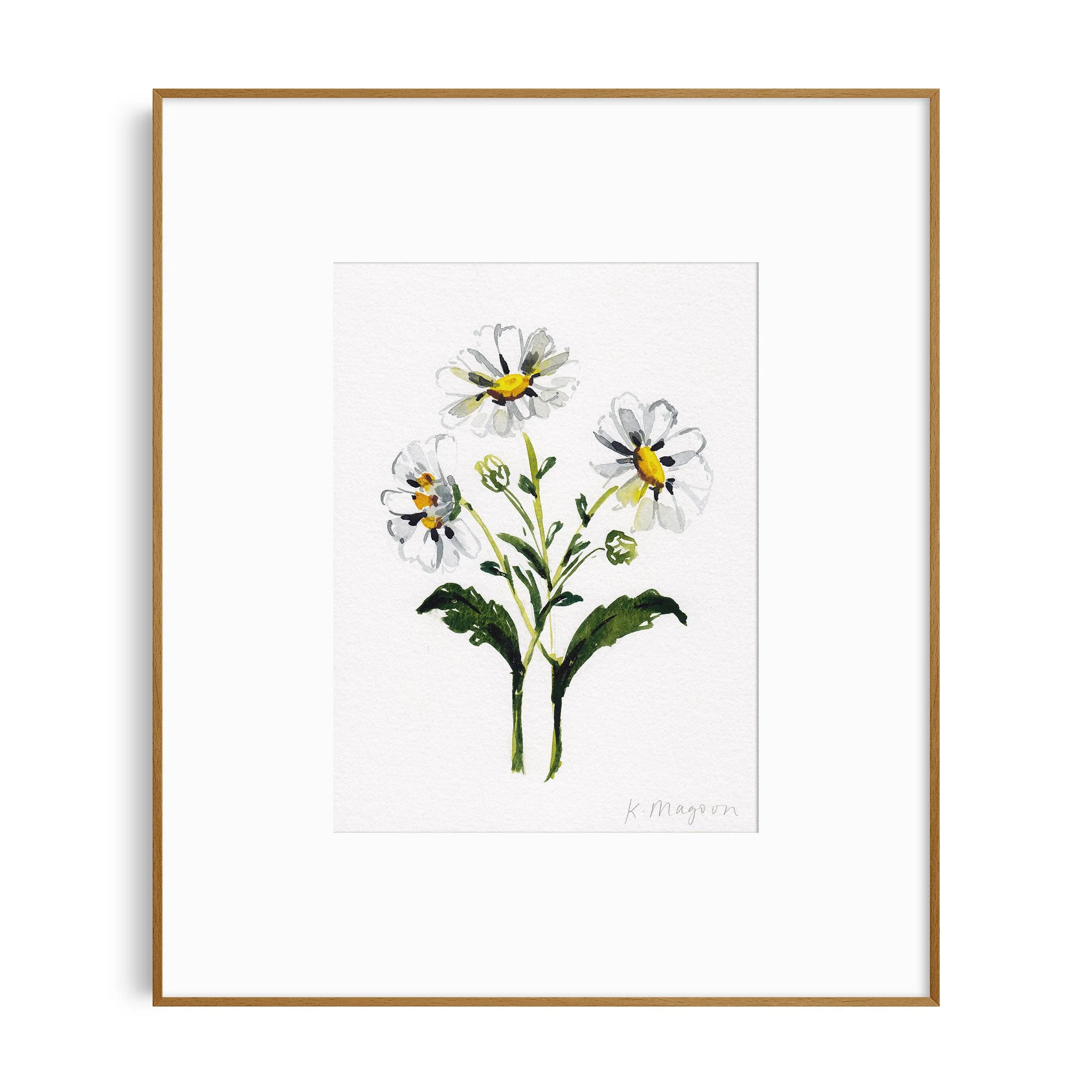 DaisyStudy4_in frame.jpg