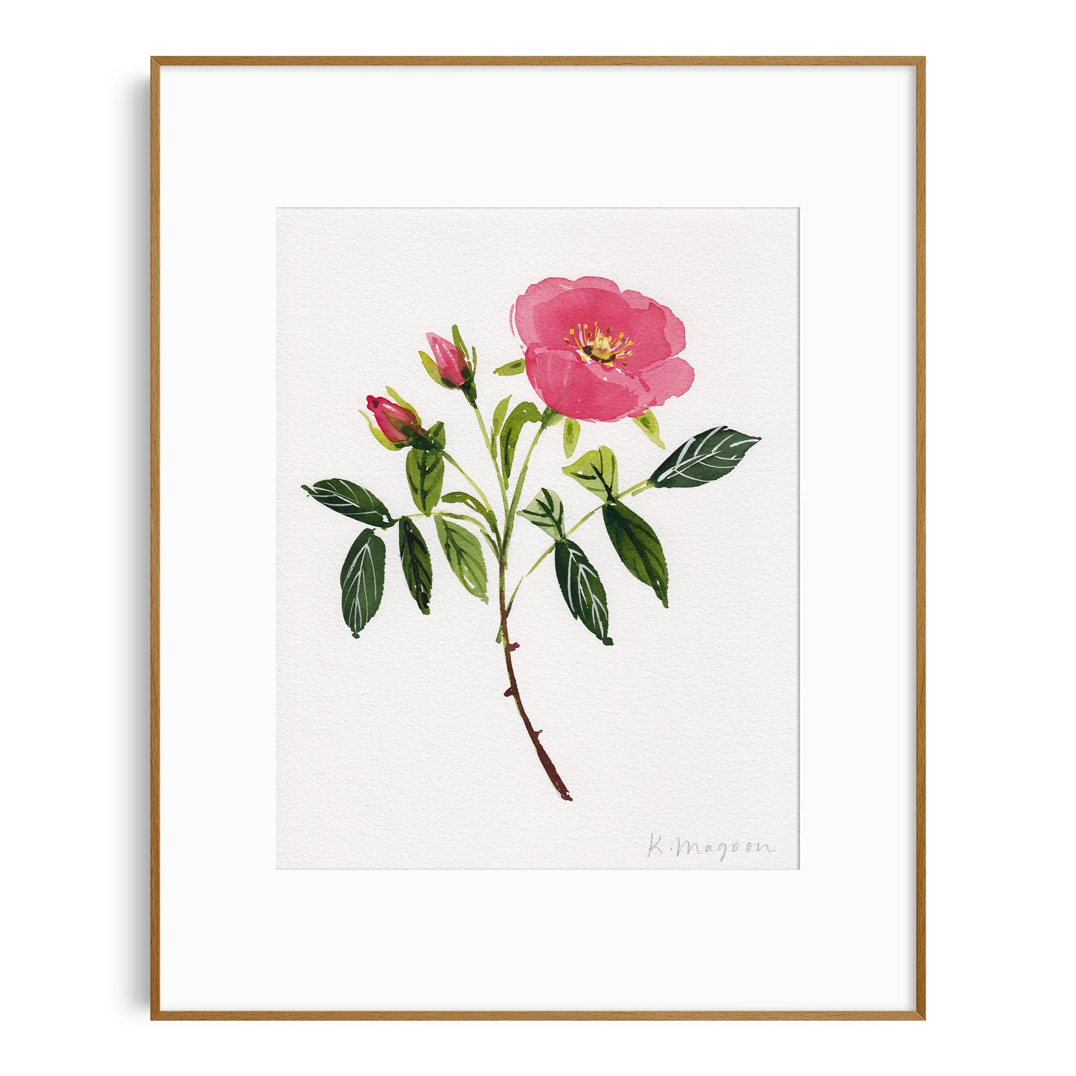 WildRoses2_in frame.jpg