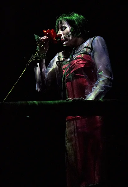 Roses18.jpg
