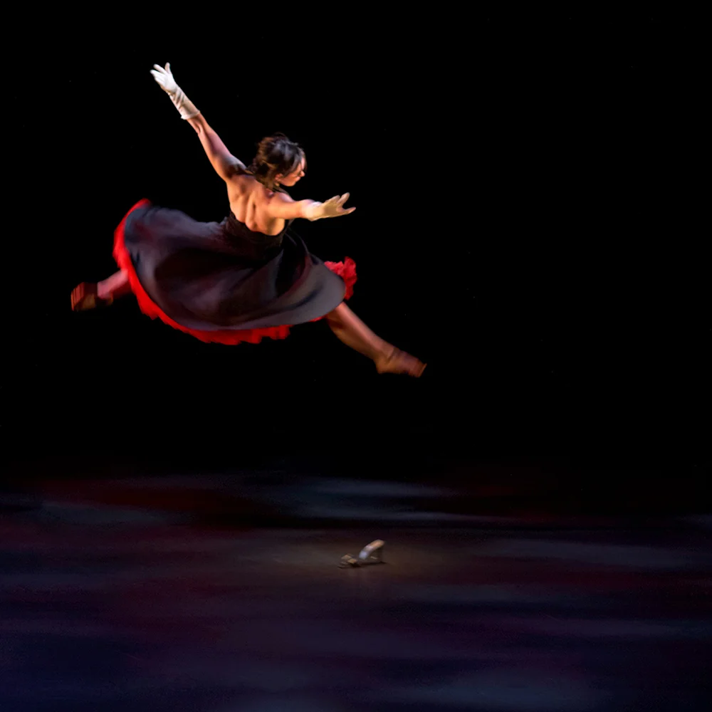 SCD-Gala12.jpg