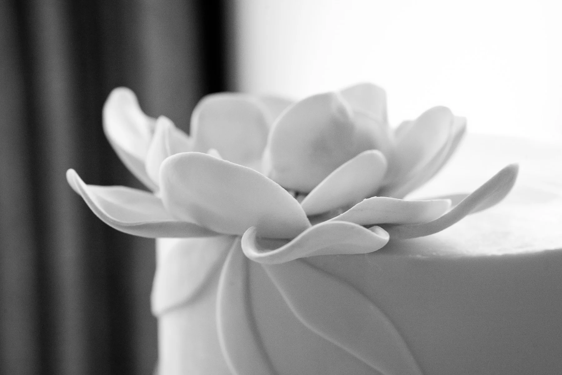 09_0425_Beiklou_LW_0374_Squarespace.jpg