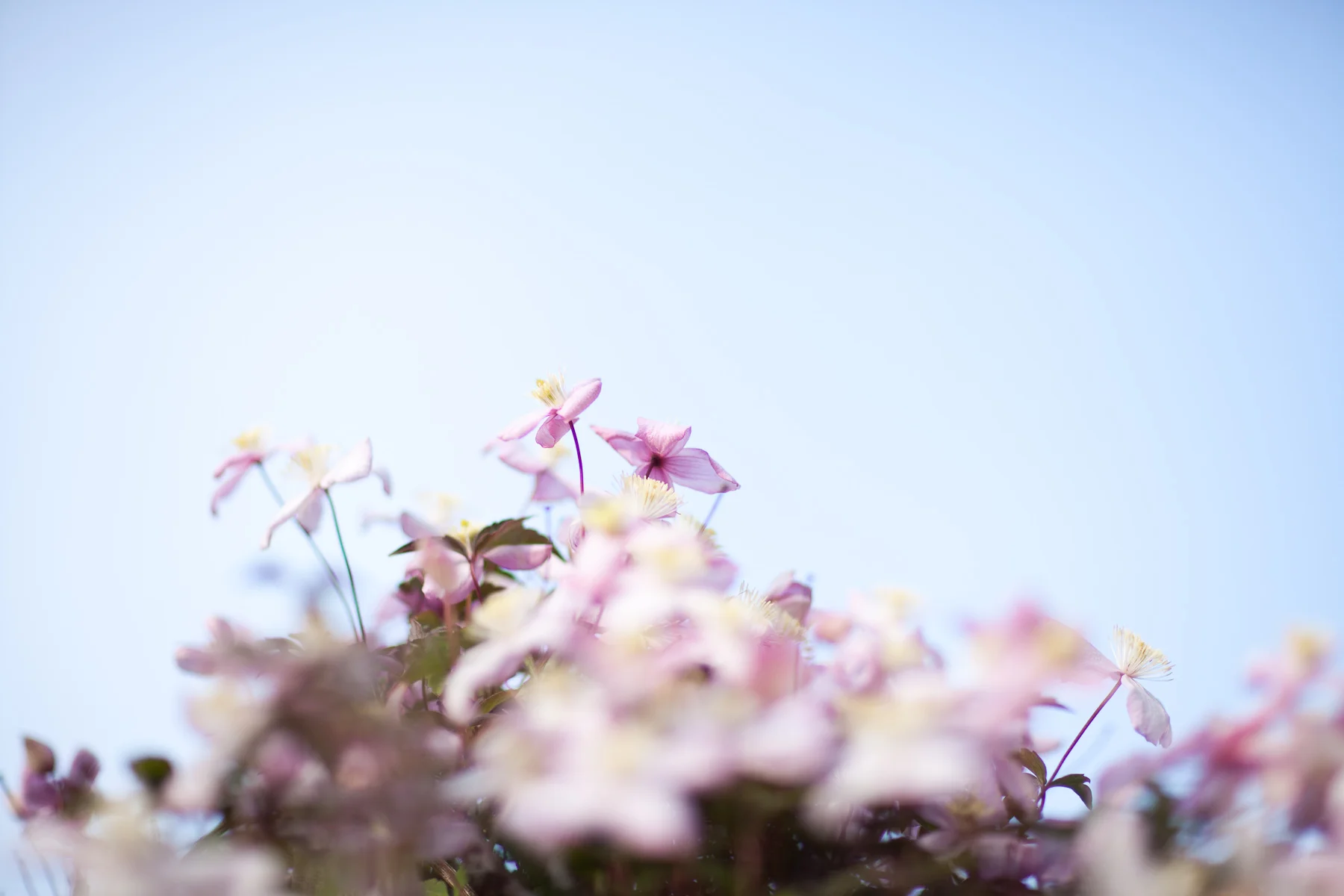 12_0407_WuPietras_Wedding_556_Squarespace.jpg