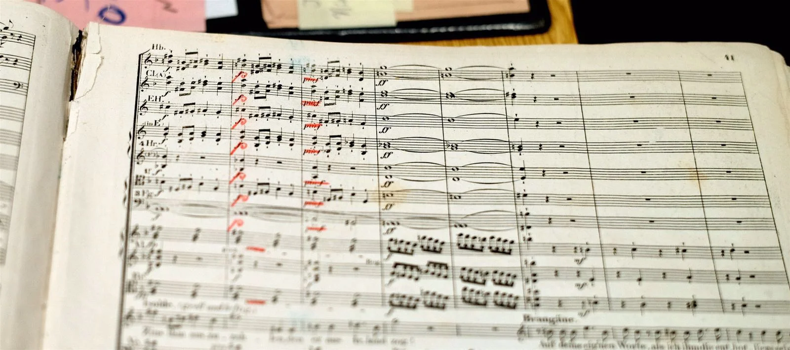 "The markings in red, all having to do with dynamics, are by Mahler; some of the blue ones could be, as well." - DF