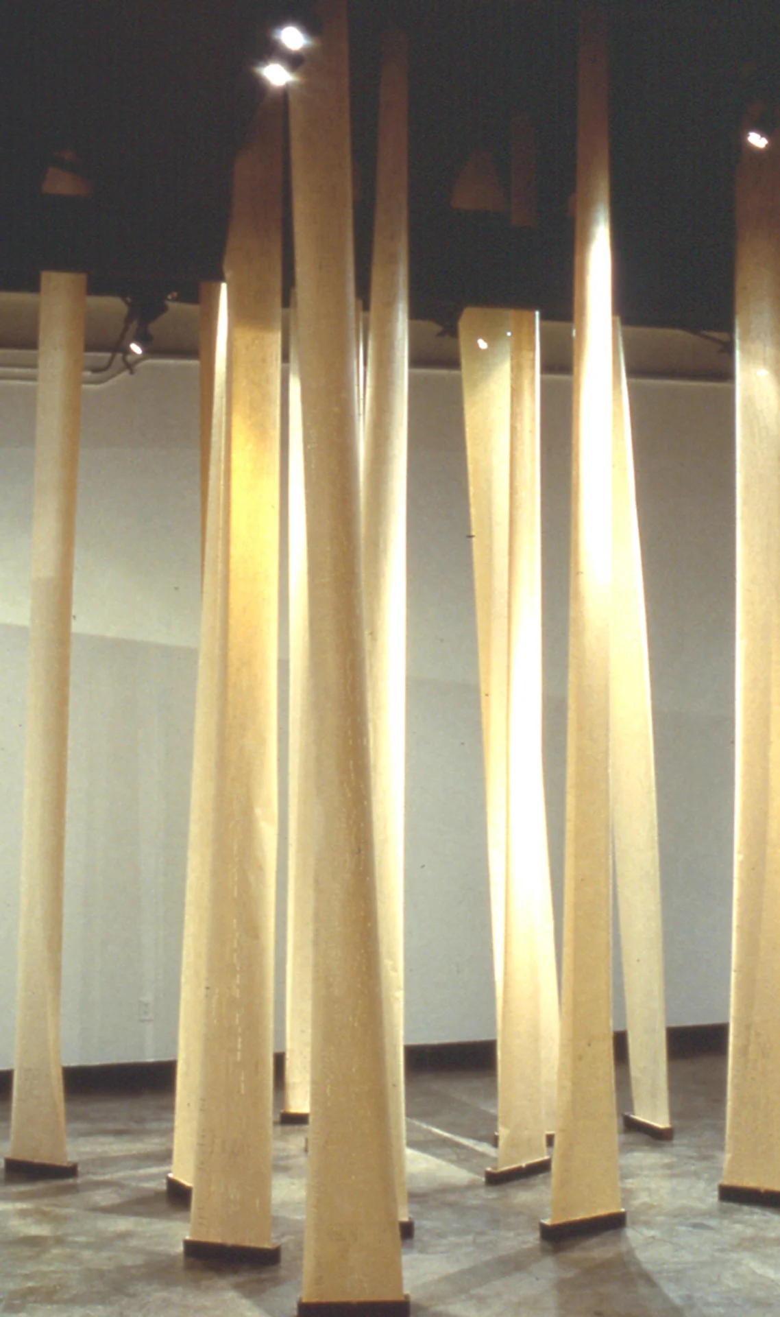 Forest, suspended paper piano rolls, variable dimensions