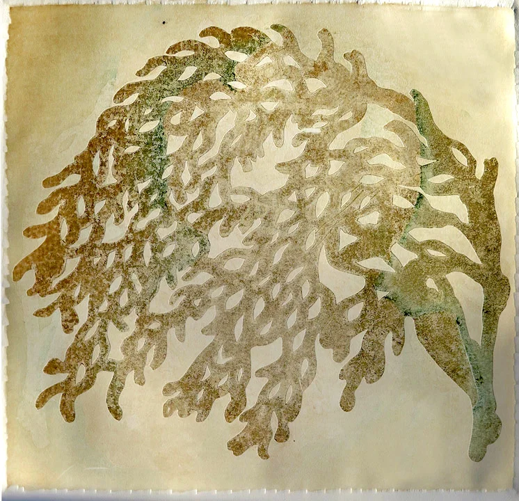 Bough 1, 30” x 30”