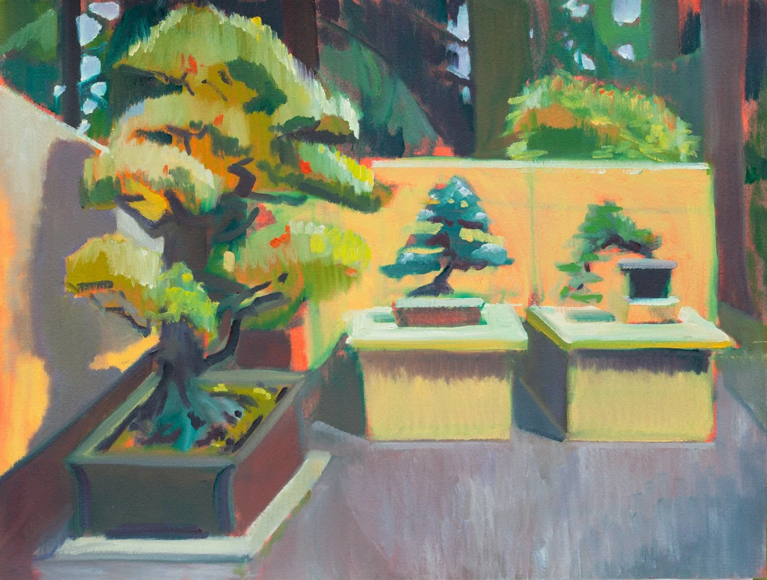 Pacific Bonsai Museum