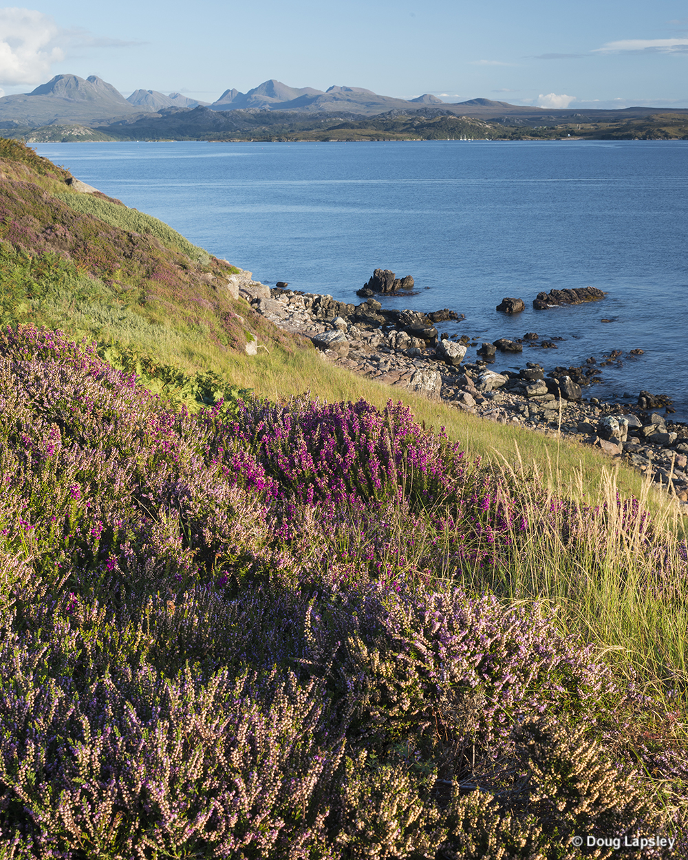 Torridon and Heather