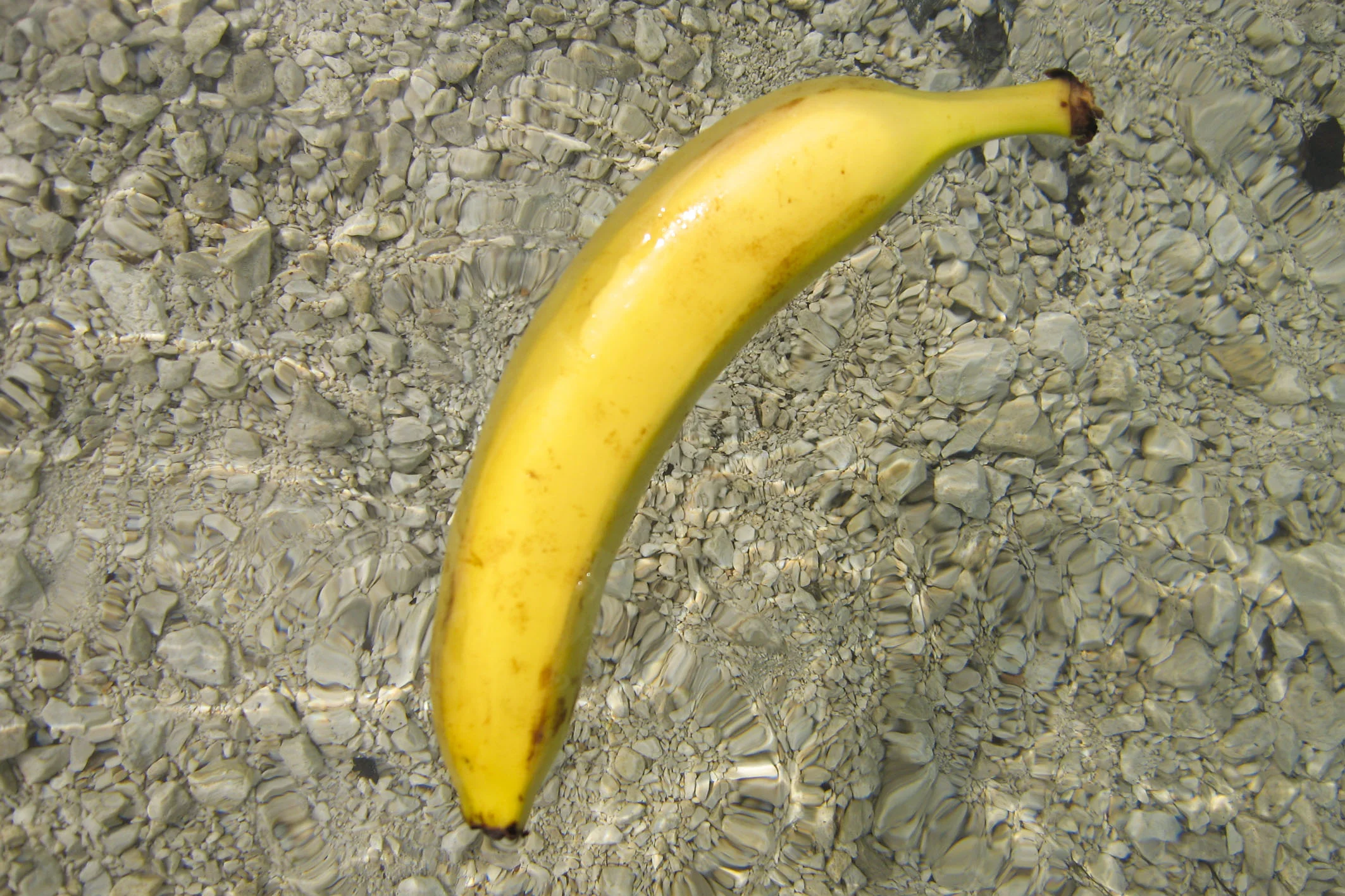 banane-im-wasser-Jonas-Braukmann.jpg