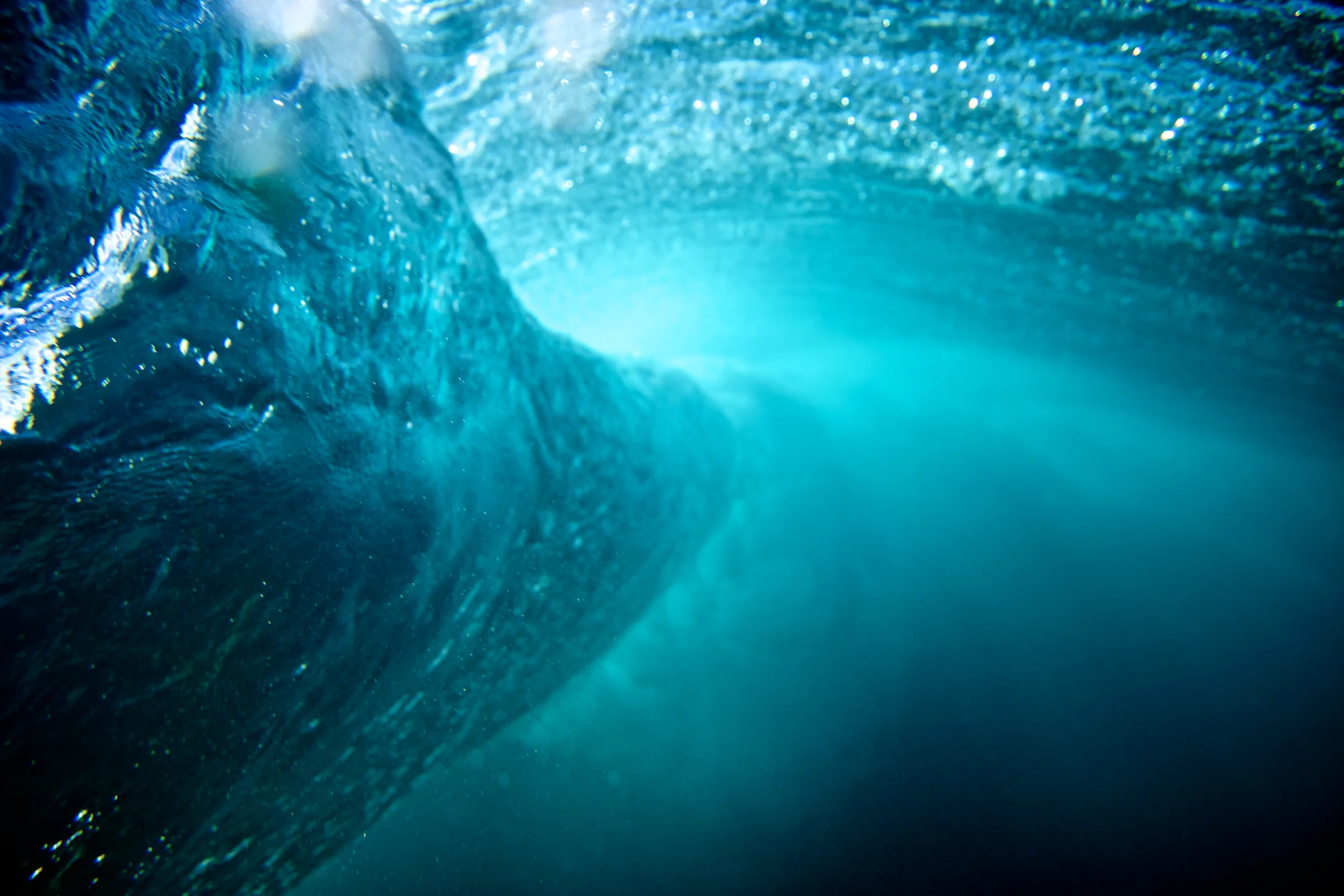 cliff_connell_photog 30.jpg