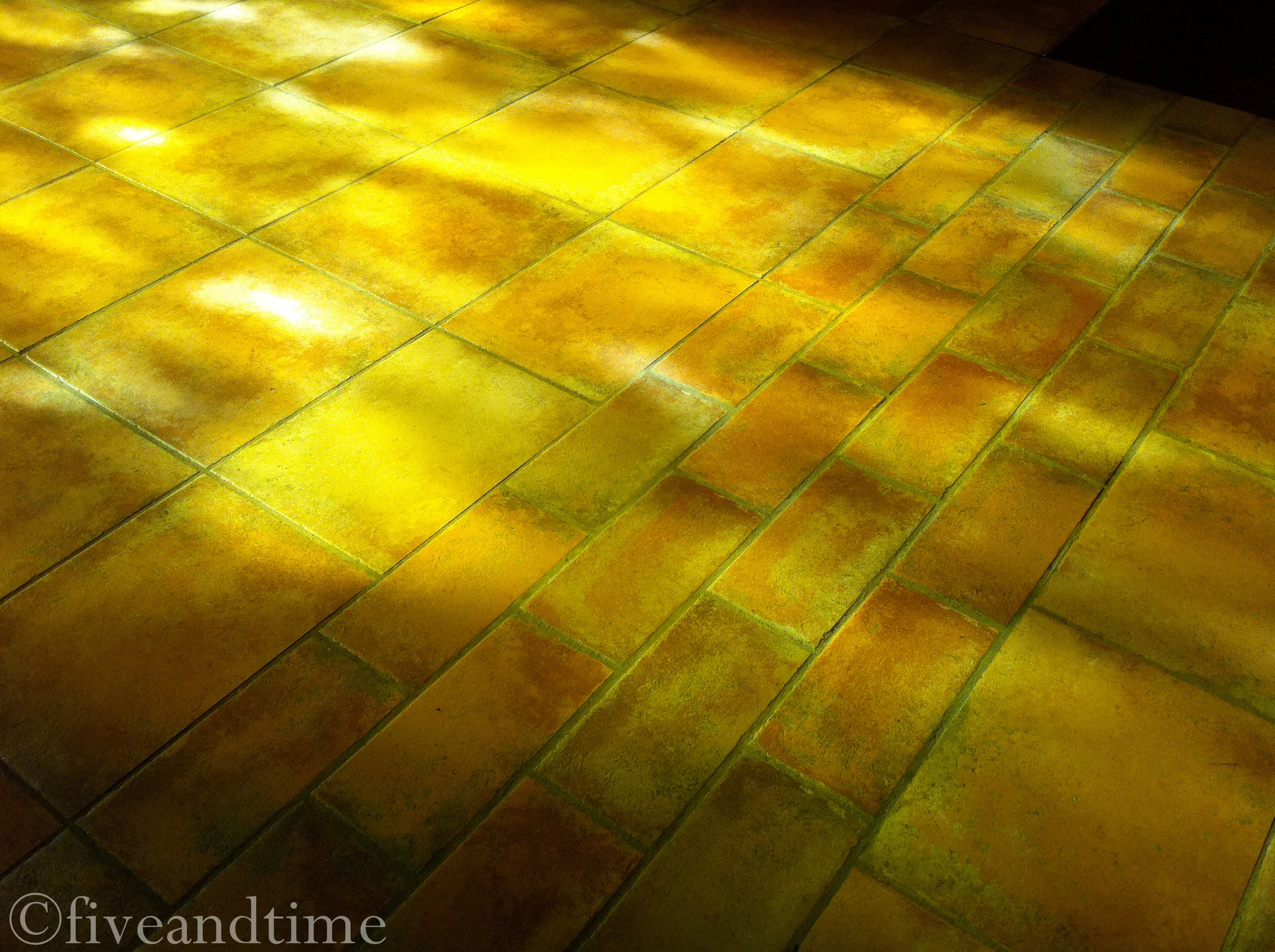 F&T_Images27.jpg
