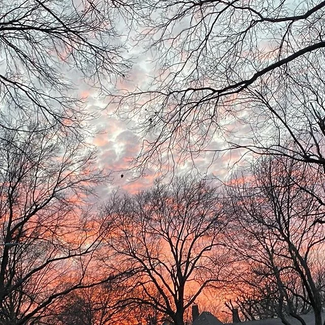Some sunset skies are total show offs... tonight&rsquo;s fell into that category as I marveled at the cloud color heading west. I thought I might grab a cloud-tastic capture, but realize the branches only anchor it all.
.
#huddleup #everybodyin #marc