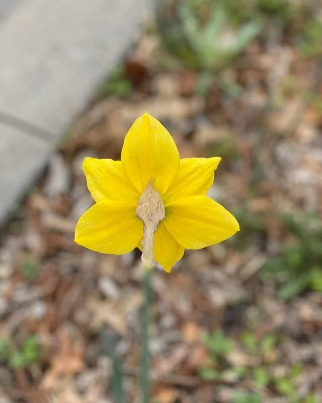 Remember B-Sides? The flip side of the music you couldn&rsquo;t wait to hear? I still remember begging my Mom to take me to Sound Warehouse already when I&rsquo;d finally saved enough money for my first Pink Floyd purchase. It was a cassette for me b