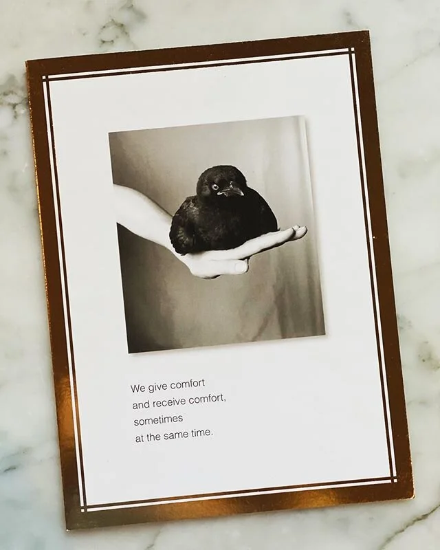 &ldquo;We give comfort and receive comfort,
sometimes at the same time.&rdquo;
.
A go to card from a beloved go to shop. 
Beaming this kind of love on the wire for a good
many hearts that I&lsquo;m hugging from afar right now.
.
#friendship #comfort 