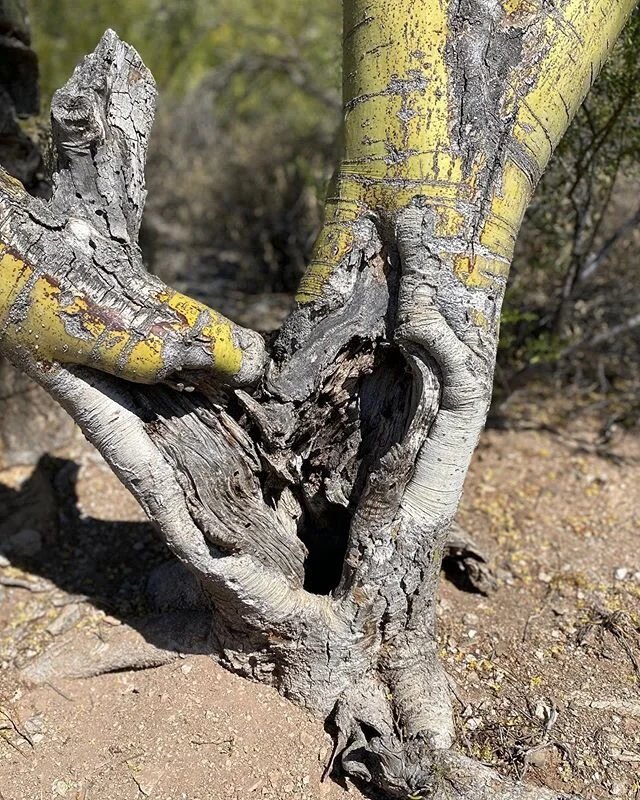 &ldquo;The more that we allow our hearts to expand to love, deeply appreciate, and feel inextricably tied to the places, things and people of this world, the more we are likely to take a stand on behalf of what we value.&rdquo;
.
&mdash;Kristie Nelso