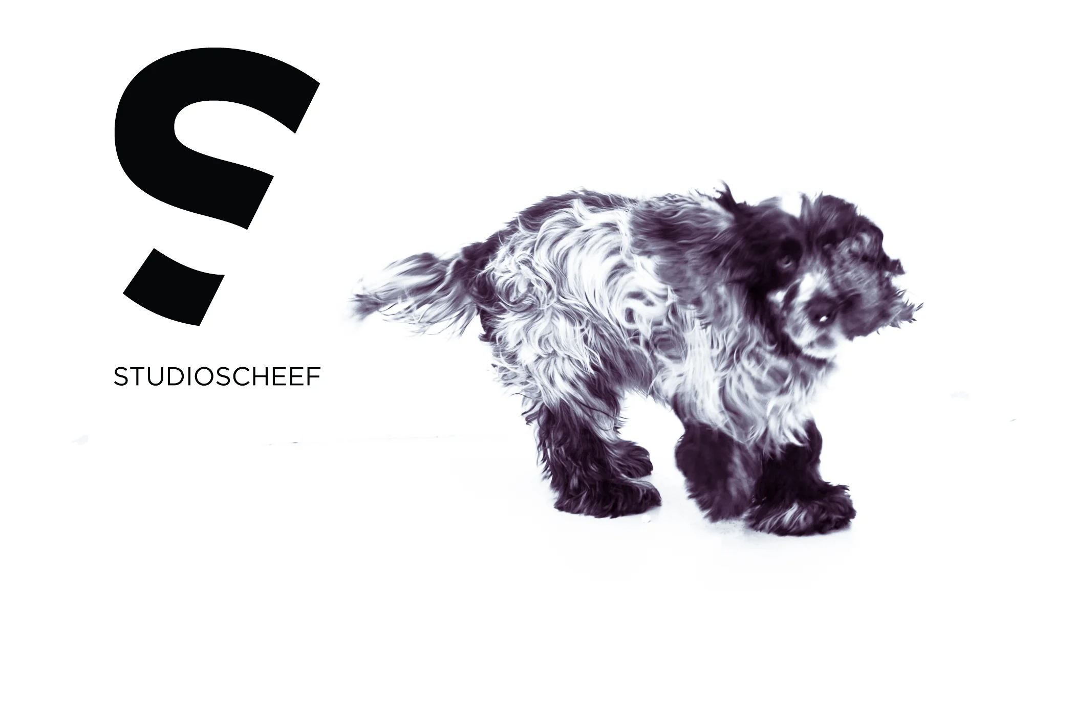 hondje-1met.jpg
