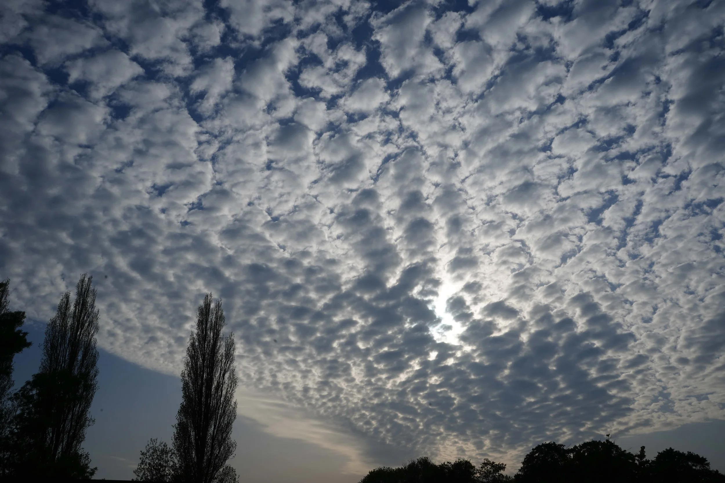 Lucht boven Den Haag Studio Scheef.jpeg