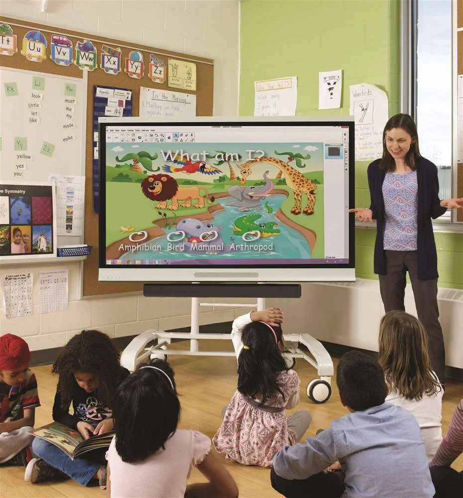 Interactive Flat Panel Displays 