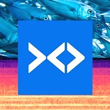 Winning the Fishackathon