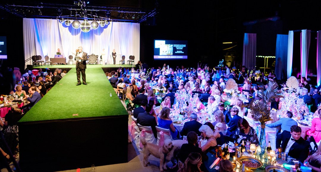 party seated runway.jpg