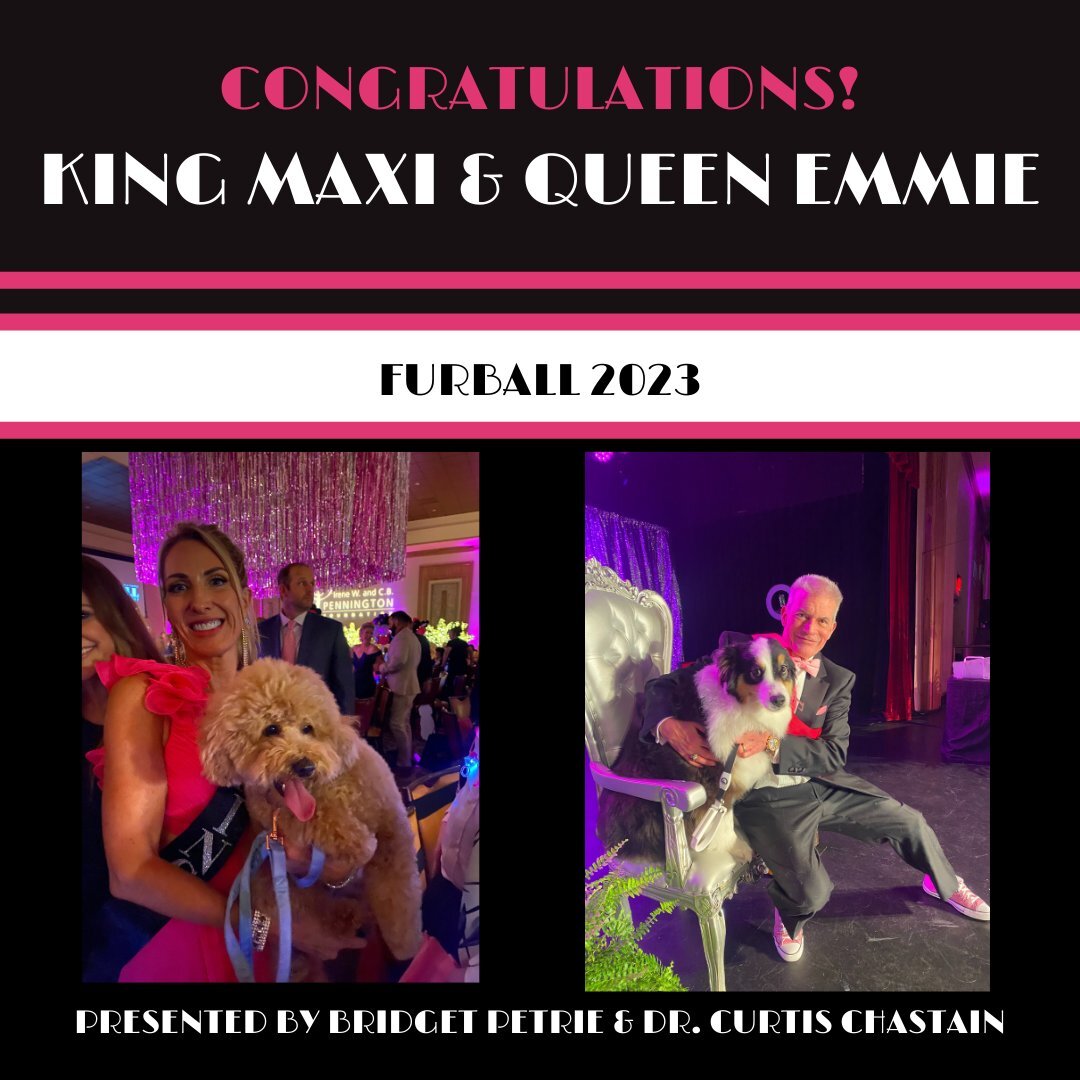 Thank you to everyone who came to our paw-ty! Without further adieu, we are proud to announce your #FurBall2023 KING AND QUEEN! 

Introducing King Maxi and Queen Emmie! 🤩👑

We are so proud of each and every court member for blowing it out of the wa