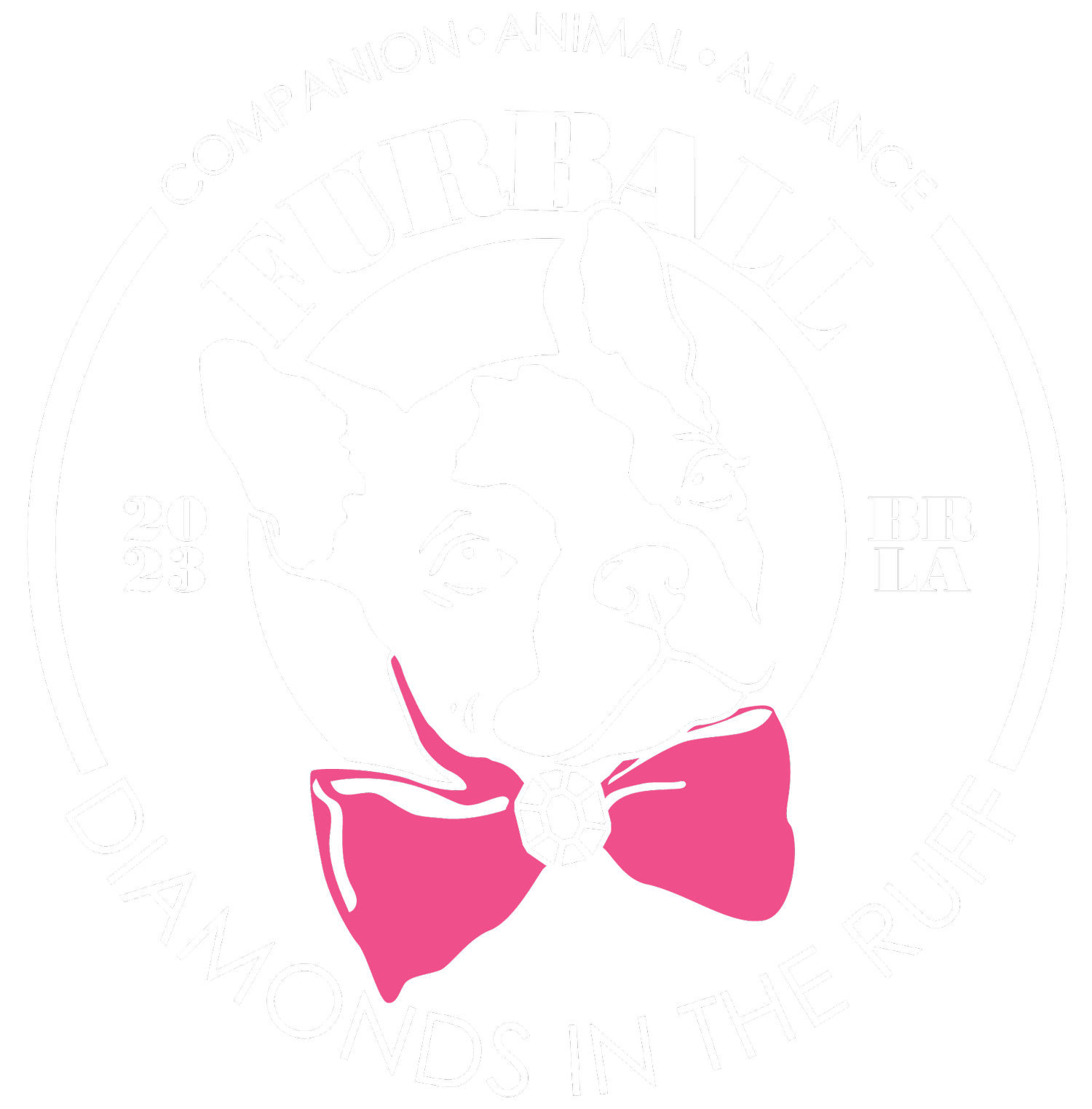 About CAA — Fur Ball