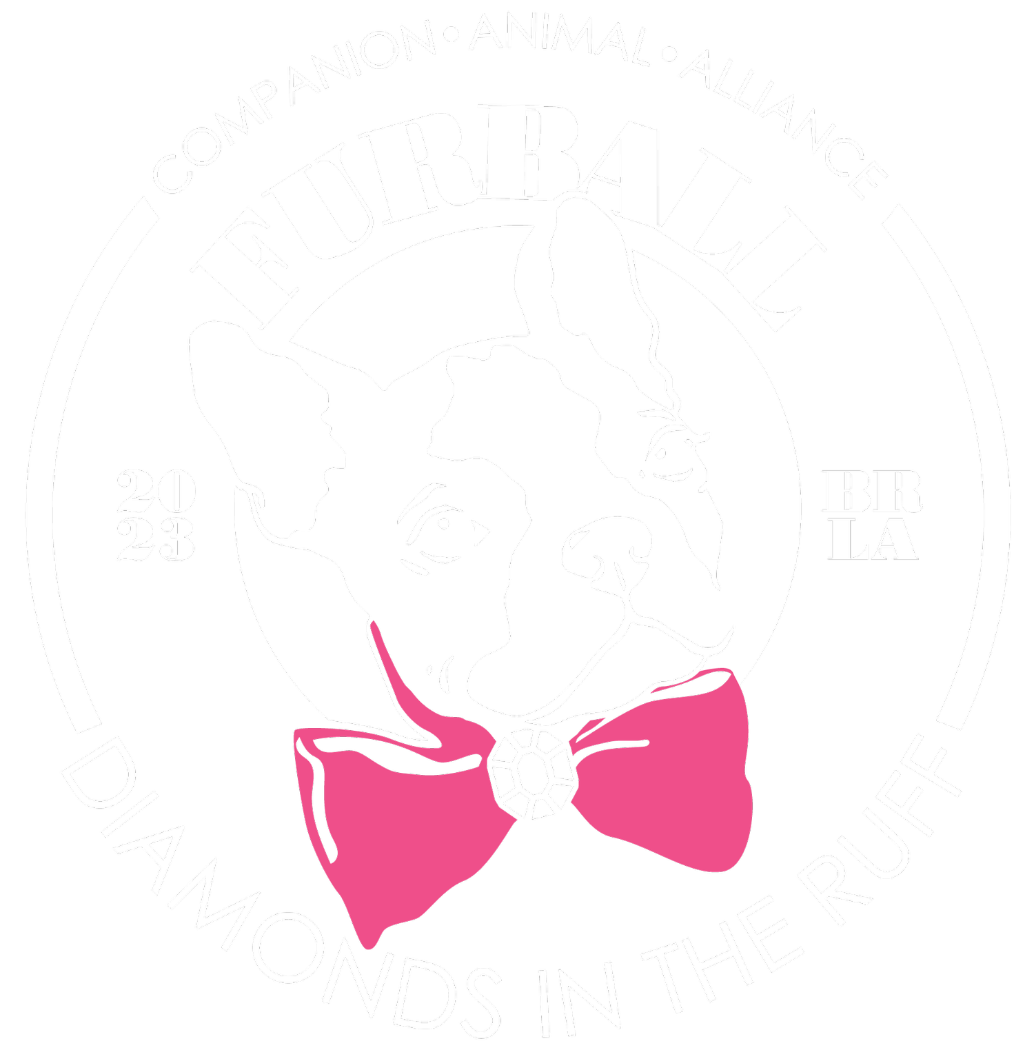 About CAA — Fur Ball About CAA — Fur Ball