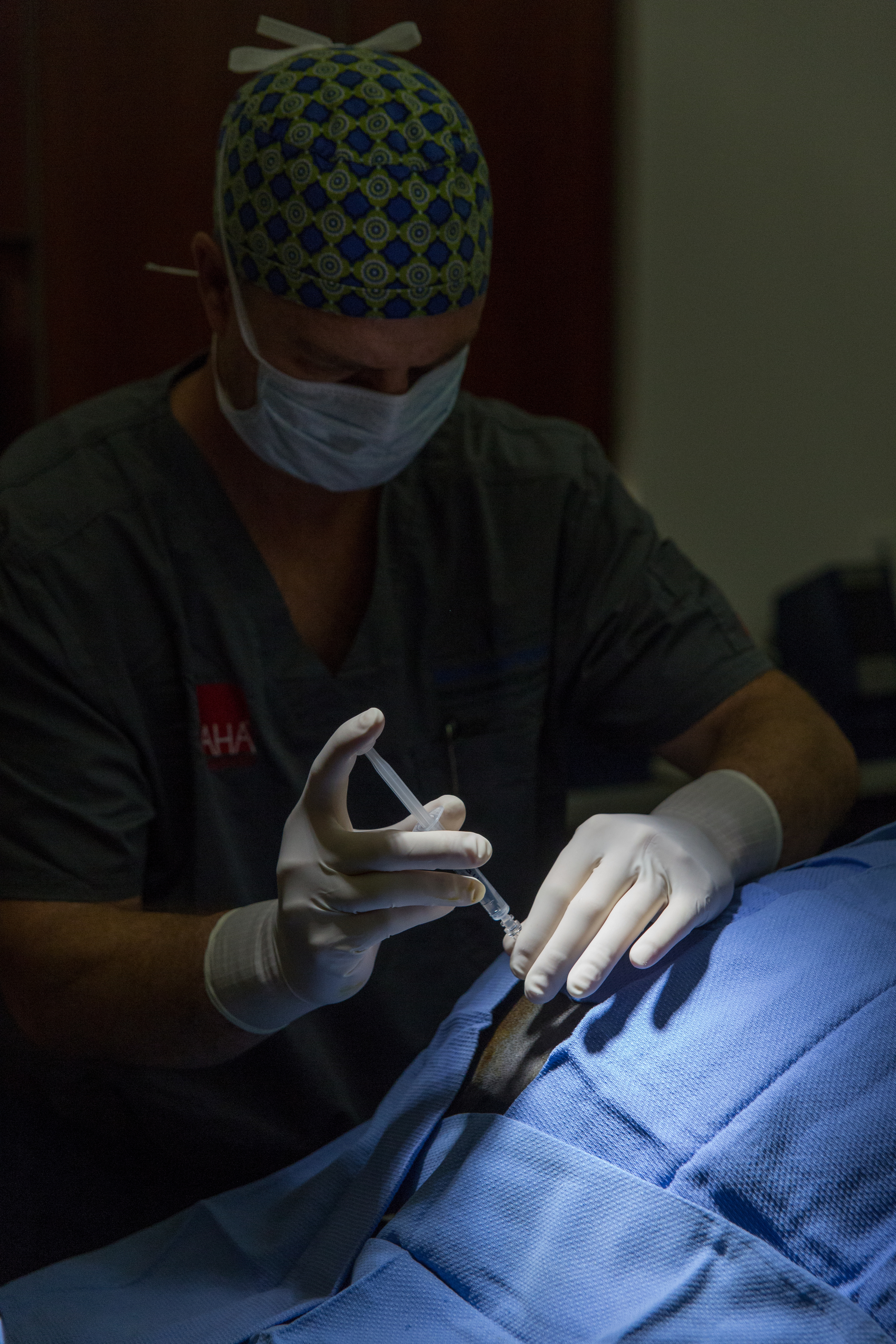 Dr. Pelissier administrating the epidural prior to taking "Cheech" into the surgery suite.