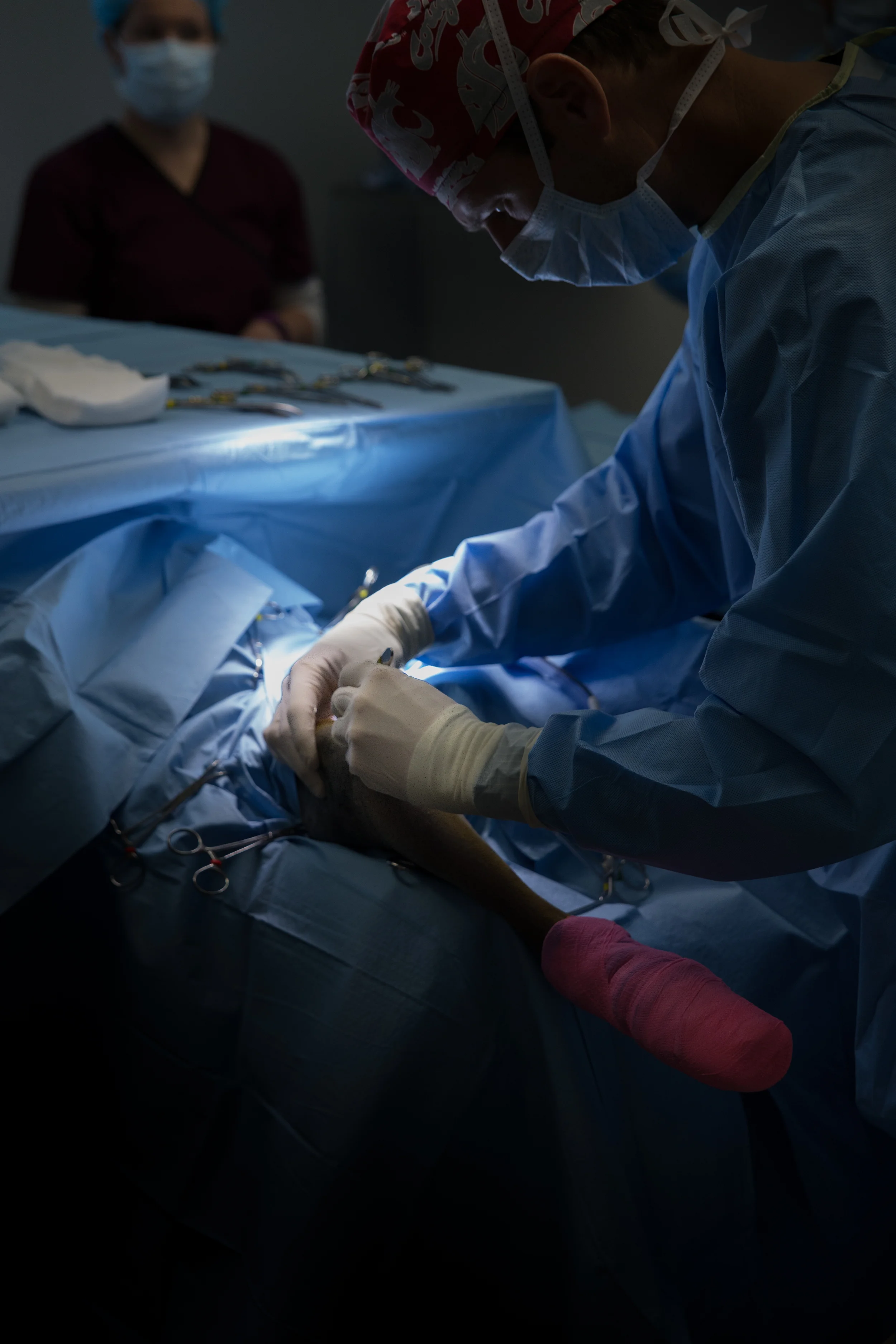 Dr. Newton making the initial incision. The surgical field is very well draped for sterile protection. Even the portions of the patient are wrapped in sterile material to ensure complete protection.
