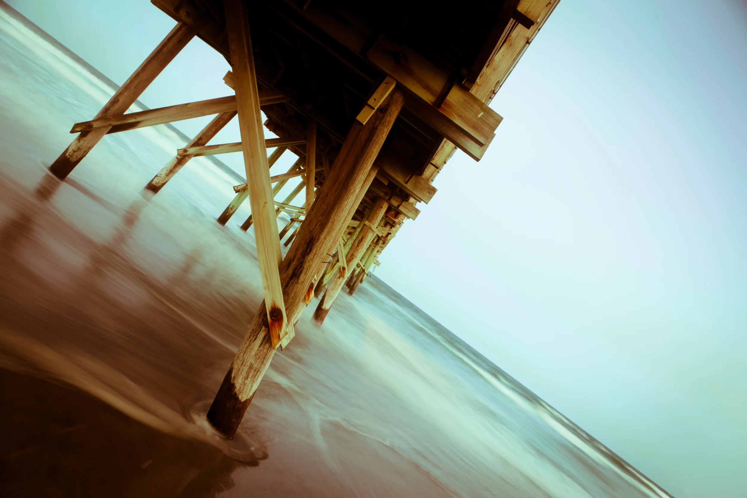 Celebrating Success | Forego Profits During 2015