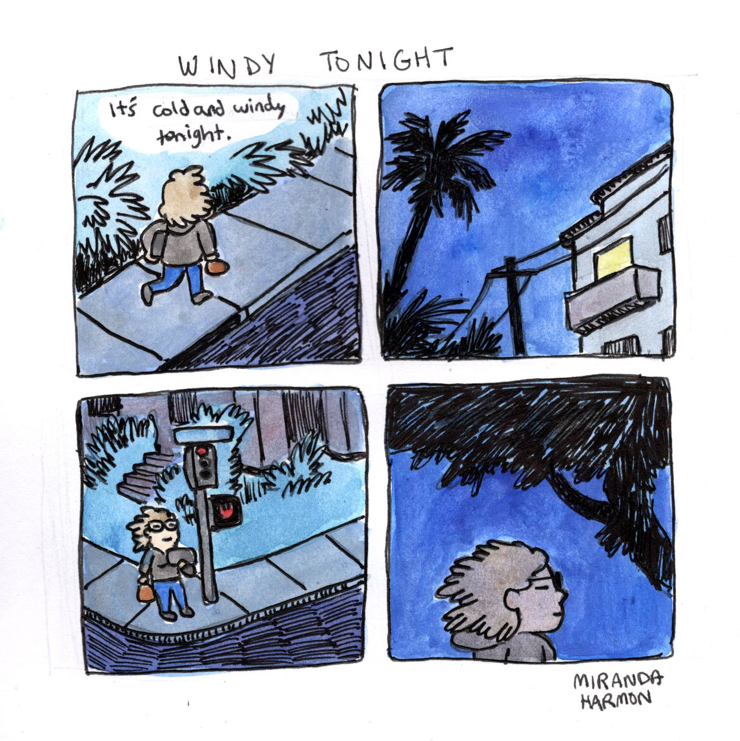 Windy