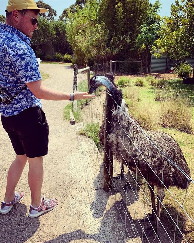 I fed an emu today.