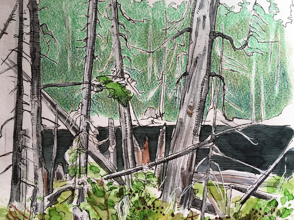 detail of spirit lake sketch