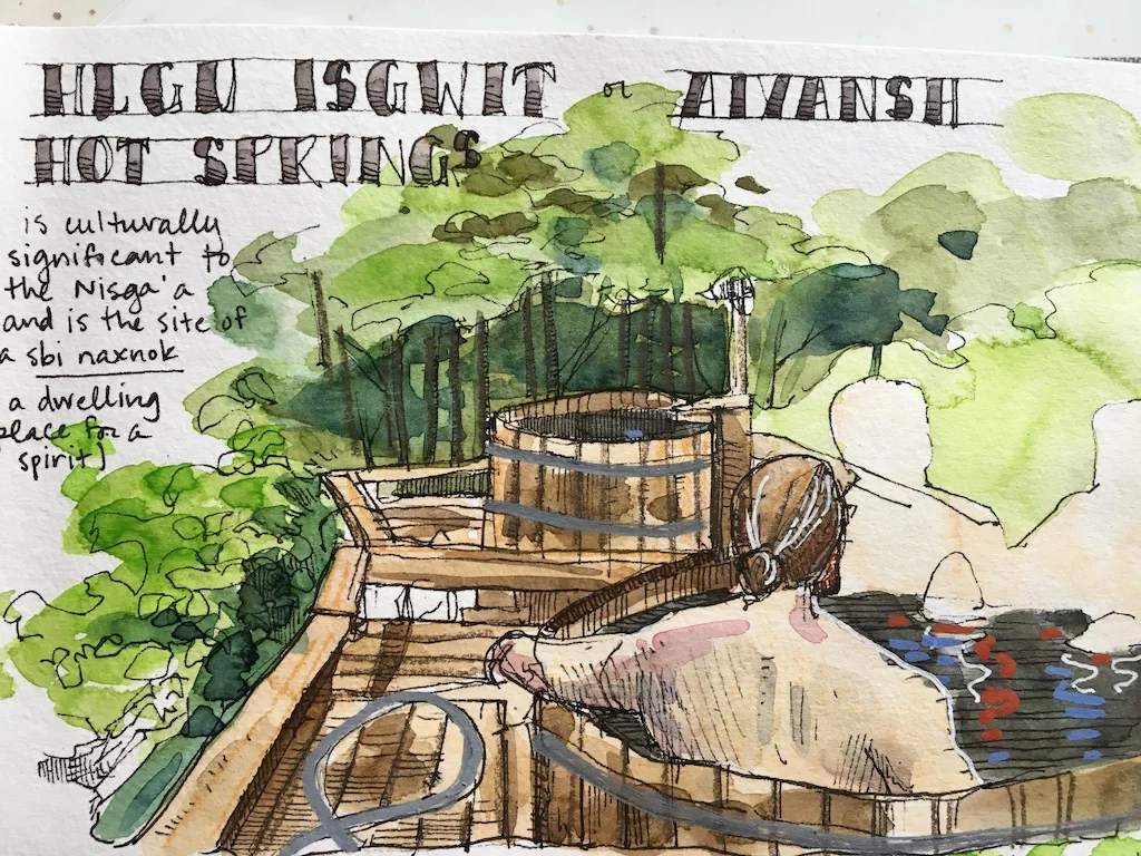 detail of hot spring sketch