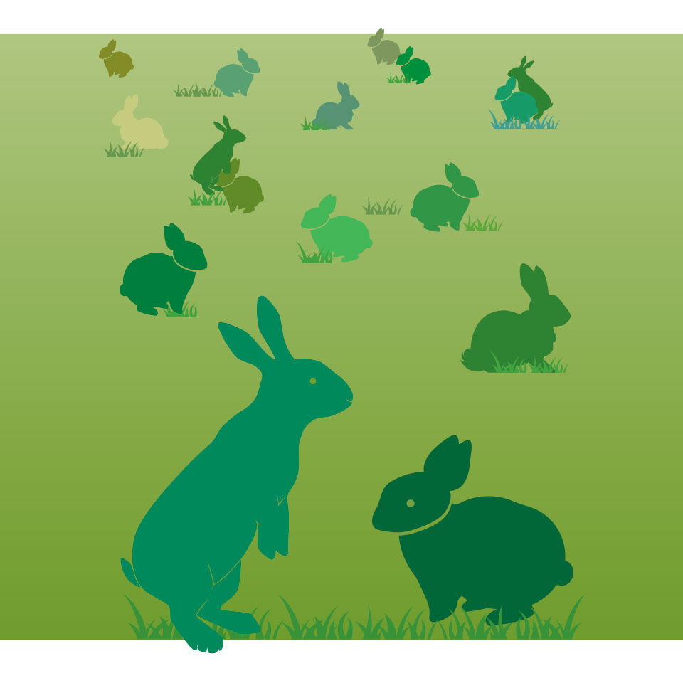 BunnyGraphic.jpg