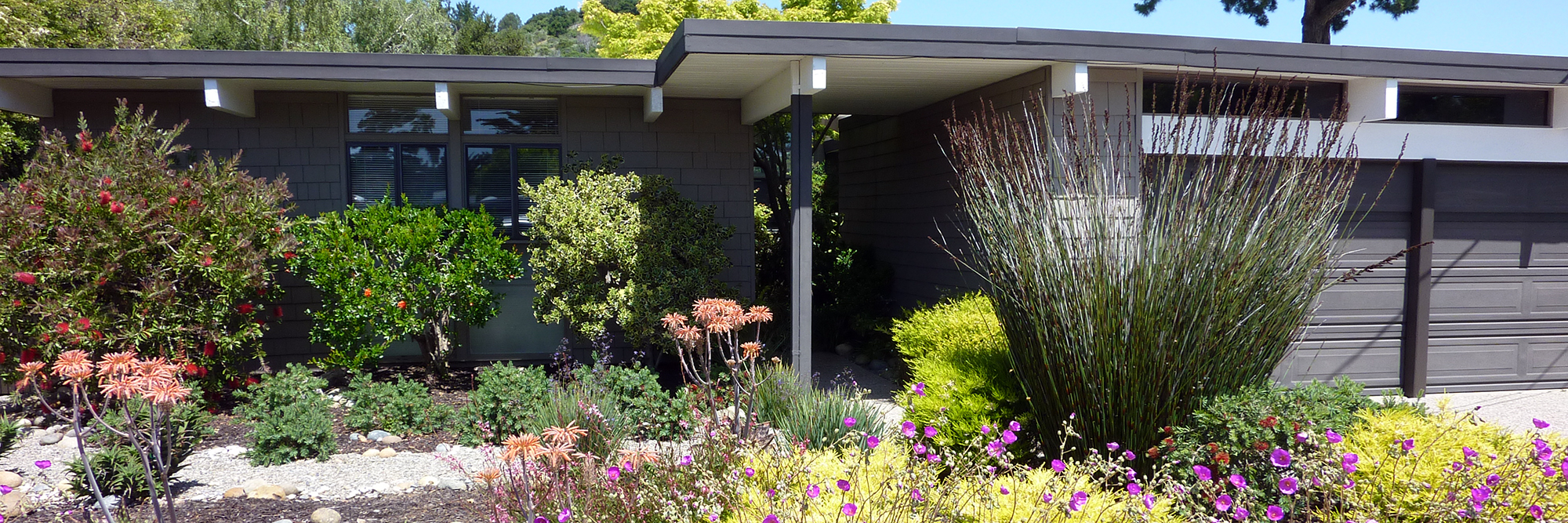 Eichler Home Tour 2017 - 207 Random Eichler!.JPG