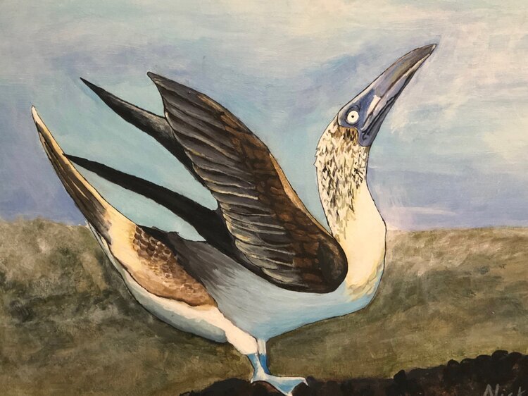 Acrylic Painting of Bird