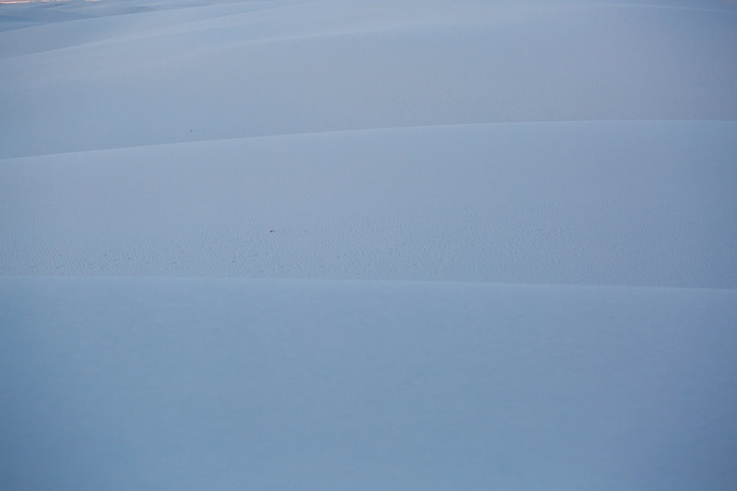 whitesands-10.jpg