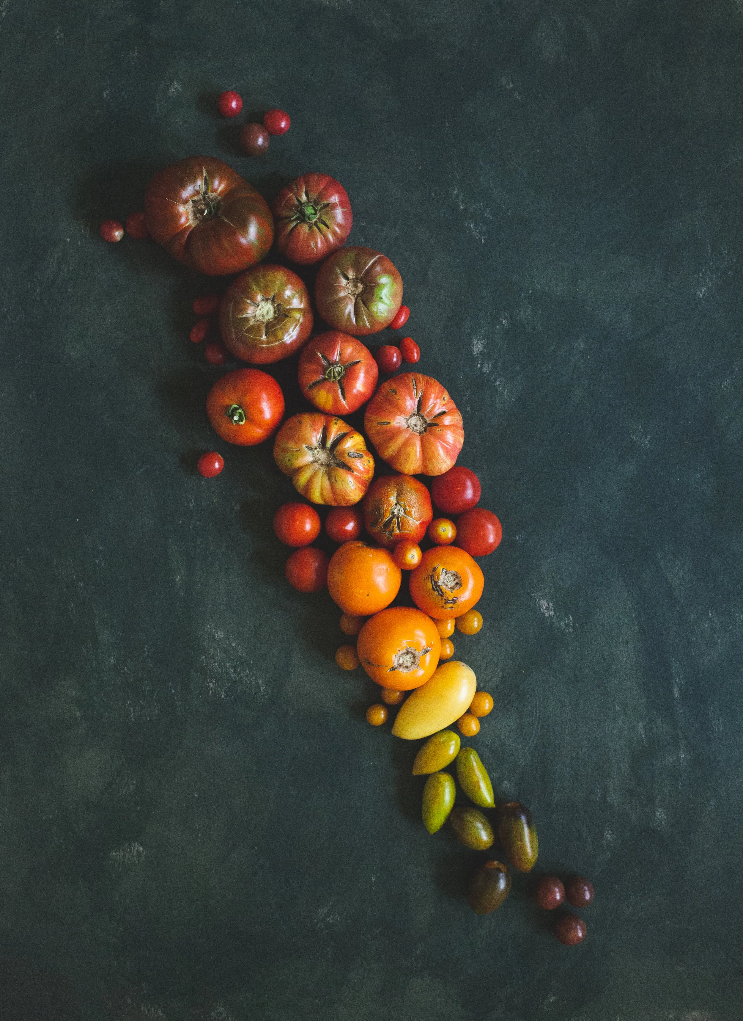 junetomatoes-6.jpg