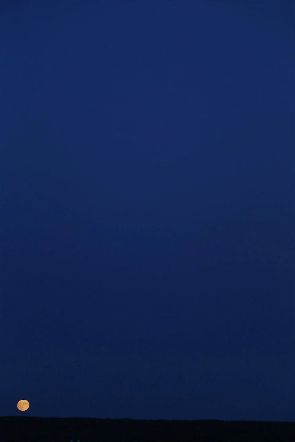 Attachment-5.jpeg