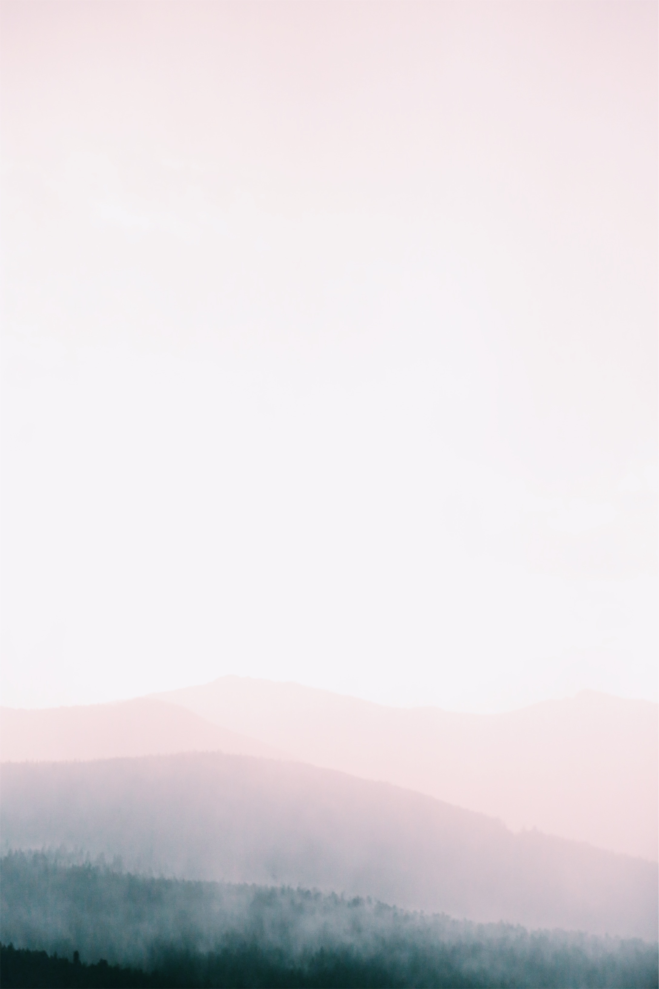 Attachment-1-2.jpeg