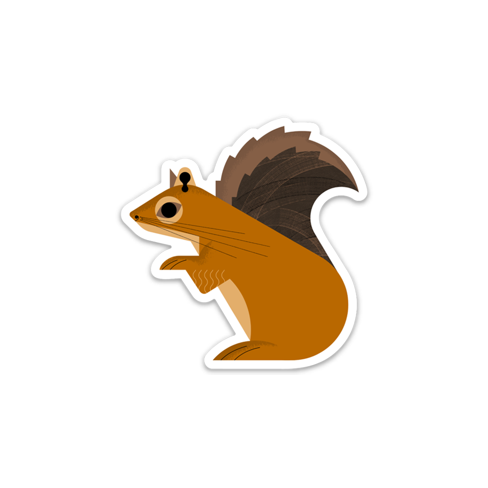 Squirrel Sticker