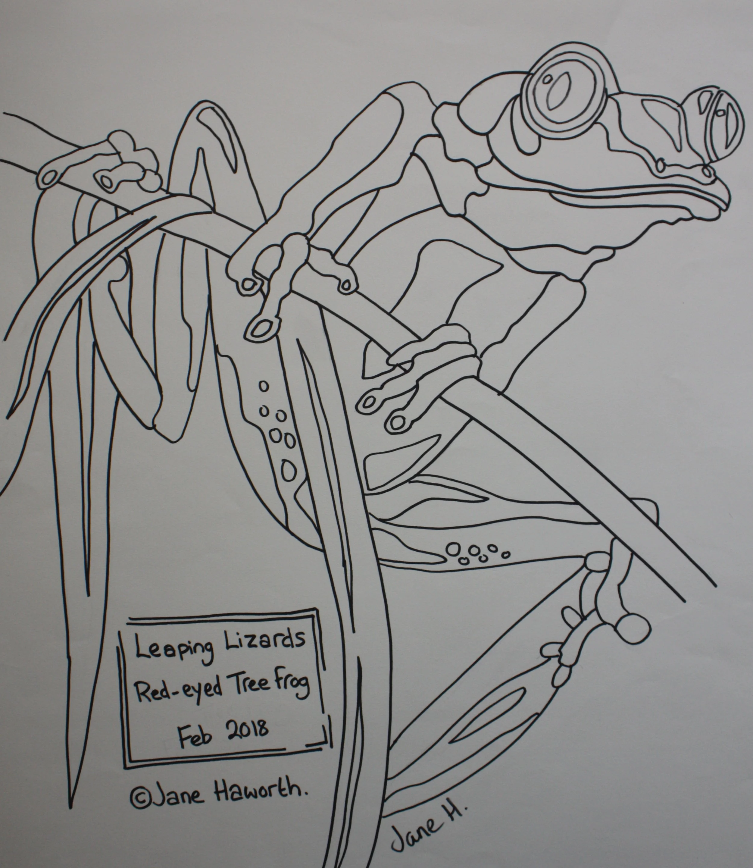 tree frog paper pattern by janehaworth.com