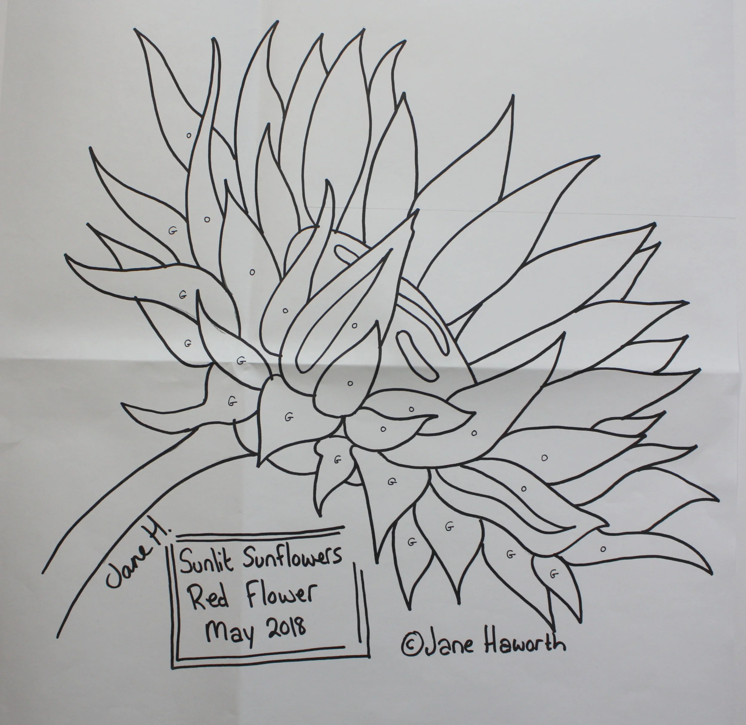 Red sunflower paper patternbyjanehaworth.com