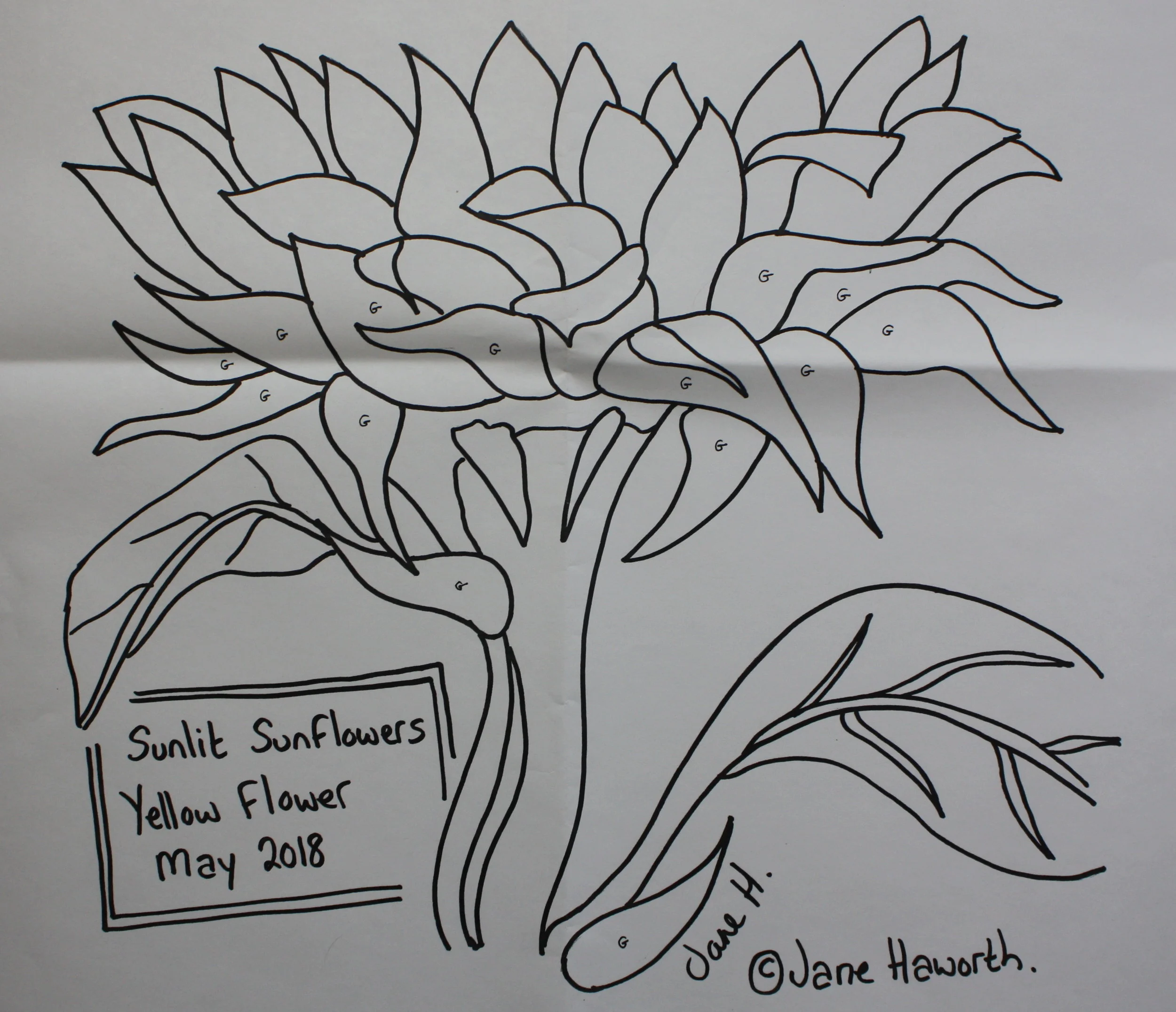 Yellow sunflower paper pattern by janehaworth.com